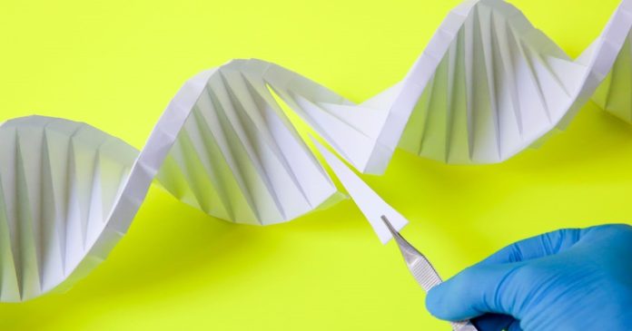 CRISPR gene-editing works to reduce high cholesterol in a new study