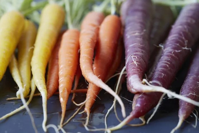 Foods Richer in Vitamin A Than Carrots Six Lesser-Known Nutrient Powerhouses