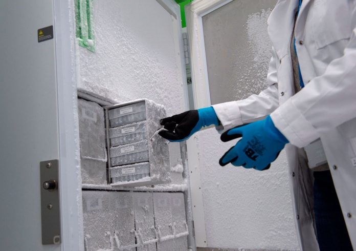 Experimental approach uses AI to eliminate cold storage for mRNA vaccines
