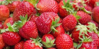 خواص شگفتانگیز توت فرنگی