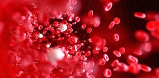 تزریق خون تولید شده در آزمایشگاه به انسان