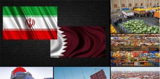 صادرات روزانه ۲۵۰ تن مواد غذایی و کشاورزی در ایام جام جهانی به قطر