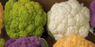 فواید شگفتانگیز گل کلم برای سلامتی