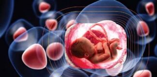 چرایی اهمیت ذخیره خون بند ناف