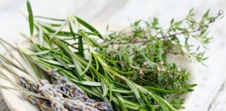 تسکین علائم سرماخوردگی و آنفلوآنزا با گیاهان دارویی