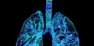 چند ماده غذایی برای راحتتر نفسکشیدن