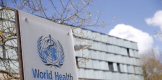 نام آبله میمون به «mpox» تغییر کرد