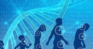 برداشتهای منفی از روند پیری بر سلامت جسمانی تاثیر میگذارد