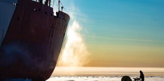 آیا تغییرات آب و هوایی با تولید اسیدهای چرب امگا۳ مرتبط است؟