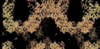 موفقیتی که راه را برای درمان جدید سرطان روده هموار میکند