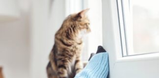 9 دلیل برای انجماد انگشتان پا