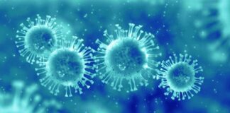 سیر نزولی پیک اولیه آنفلوآنزا