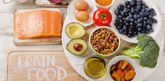 غذاها و ویتامینهای مناسب برای تقویت حافظه و تمرکز