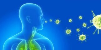 روشهای مؤثر برای جلوگیری از سرماخوردگی