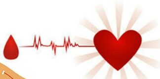 آمار ذخایر خون و فرآوردههای آن در ۷ ماهه اول سال ۱۴۰۱