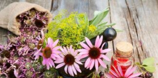 ۶۰ قلم داروی گیاهی زیر پوشش بیمه قرار گرفت