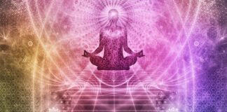 ترکیب قارچ دارویی، نویدبخش درمان افسردگی