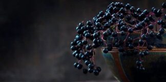 اَقطی، درمانی برای سرماخوردگی و آنفلوآنزا