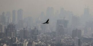 مازوتسوزی هوای کلانشهرها را آلوده کرده است