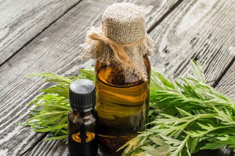 تنها پنج درصد از تبلیغات شرکت‌های آرایشی واقعی است