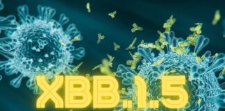 احتمال غلبه واریانت XBB.۱.۵ در جهان