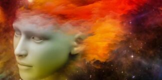 ۶ انتخاب صحیح میتواند به بهبود سطح حافظه کمک کند