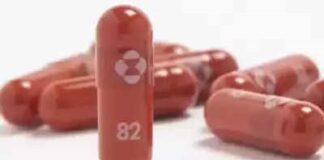 داروی مولنوپیراویر مِرک برای درمان کووید۱۹ در چین تأیید شد