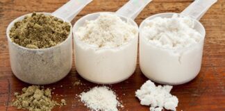 ۷ بهترین پودر پروتئین برای زنان در سال ۲۰۲۲