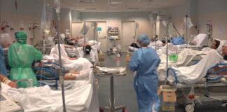 محدودیتهای همهگیری با شروع زودهنگام فصل آنفلوآنزای زمستانی در اروپا مرتبط است