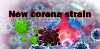 سرایتپذیری و ایمنگریزی بسیار بالا از مهمترین مشخصههای سویههای جدید کرونا