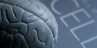 ساخت واکسنی برای درمان سرطان مغز