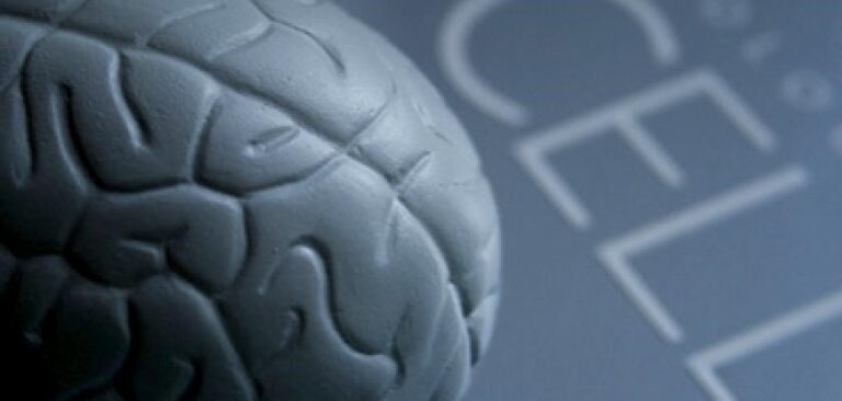 ساخت واکسنی برای درمان سرطان مغز