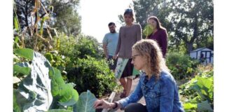 باغبانی ممکن است به کاهش خطر ابتلا به سرطان و افزایش سلامت روان کمک کند