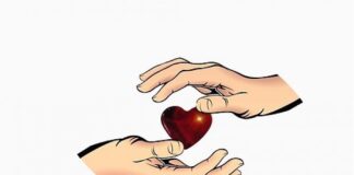 ۵ قدم چند دقیقهای برای سلامت قلب