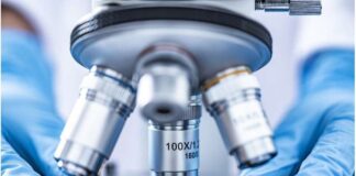 یک پروتئین سمی با دیستروفی ماهیچهای و فقدان بینی مرتبط است