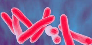 ثبت سراسری اطلاعات بیماران مسلول