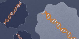 کشف عامل اصلی بیماری کبد چرب غیرالکلی