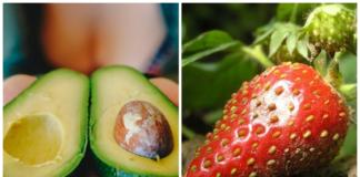 ۵ بهترین میوه برای کاهش وزن