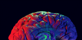 داروی آزمایشی ApTOLL آسیب سکته مغزی را کاهش میدهد