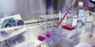 یک یافته دارویی درمان سرطان تخمدان را هموار کرد