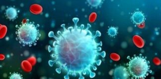 افزایش آمار کرونا جدی نیست