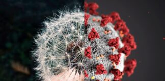 تفاوتهای آلرژی فصلی با کرونا