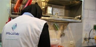 بازرسی ۲ هزار تیم بهداشتی در قالب طرح همسفران سلامت از مراکز تهیه غذا و هتلها