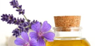 راهکار طب سنتی برای کاهش عطسه و خارش گلو در فصل بهار