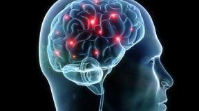 هشدار دانشمندان: یک ماده معمول در خشکشوییها میتواند باعث پارکینسون شود