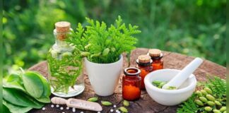 ۶نکته درباره تداخل مصرف داروها و گیاهان دارویی