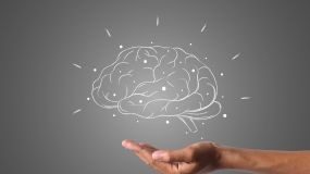 رژیم غذایی سرشار از منیزیم سلامت مغز را ارتقا، و خطر زوالعقل را بهویژه در زنان کاهش میدهد