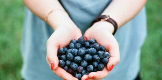 یک مشت زغالاخته برای سلامت قلب و مغز مفید است