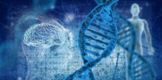 موفقیت محققان کشور در انتقال ژن برای حل مشکل بیماران تالاسمی