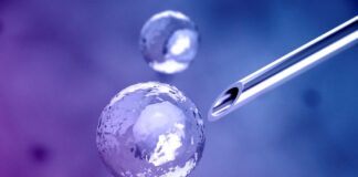 سلولدرمانی Omisirge برای کاهش خطر ابتلا به عفونت در بیماران مبتلا به سرطان خون تحت پیوند سلولهای بنیادی تأیید شد